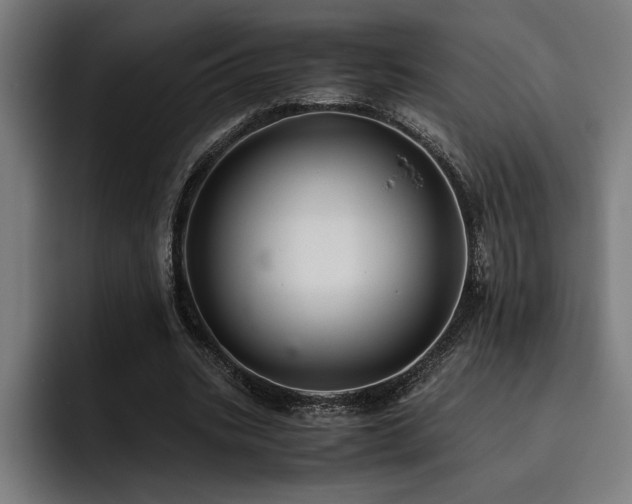 X0000093530535200710121601