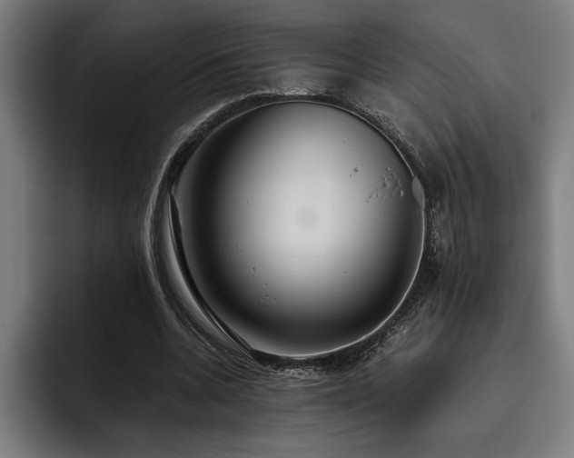 X0000093530536200710121601