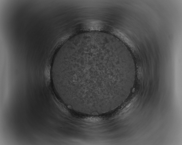 X0000093530537200710121601