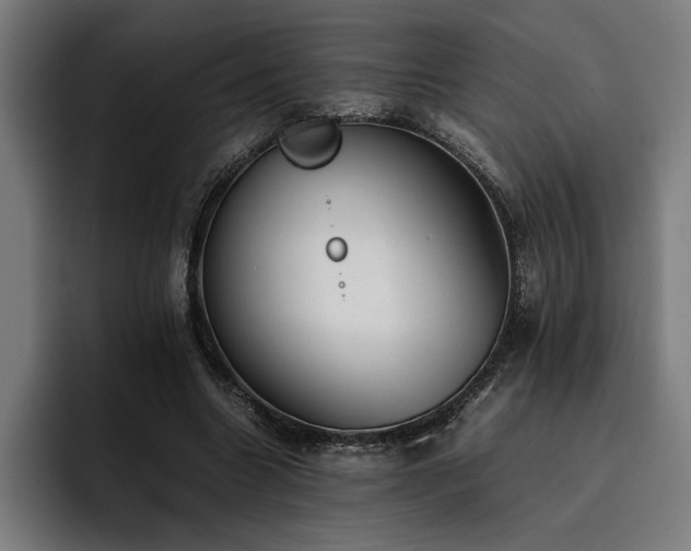 X0000093530538200710121601
