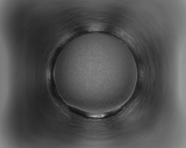 X0000093530539200710121601