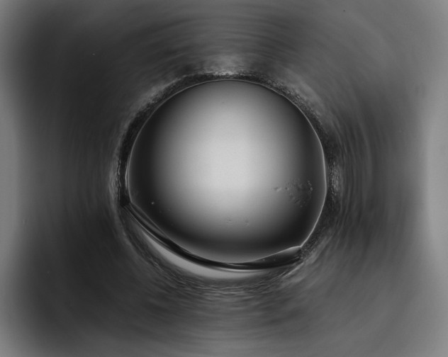 X0000093530540200710121601