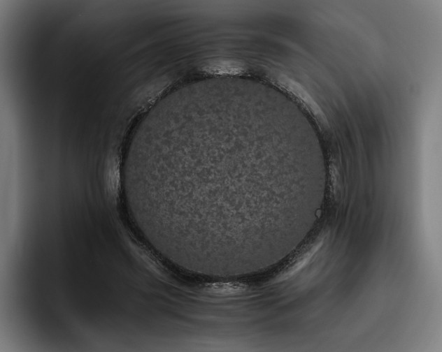 X0000093530541200710121601
