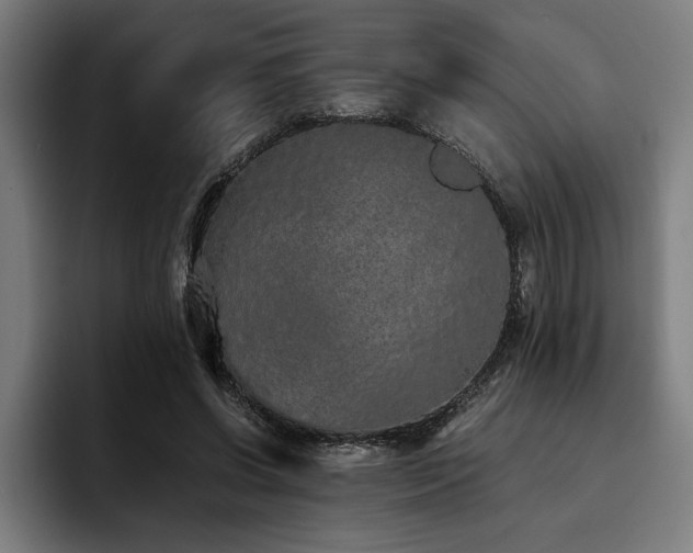 X0000093530542200710121601