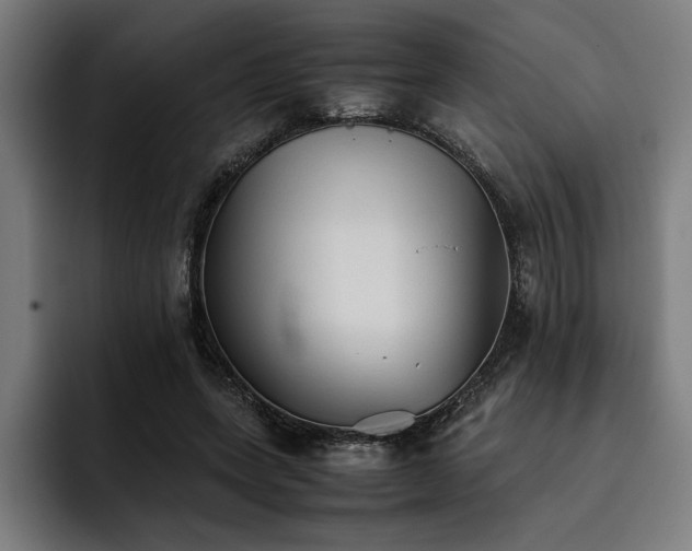 X0000093530543200710121601