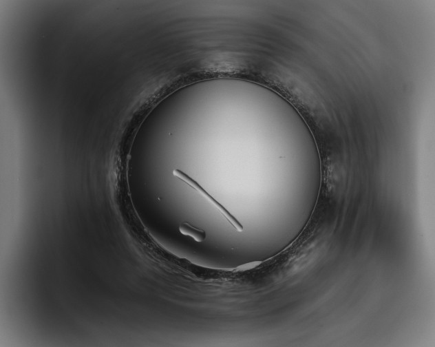 X0000093530544200710121601