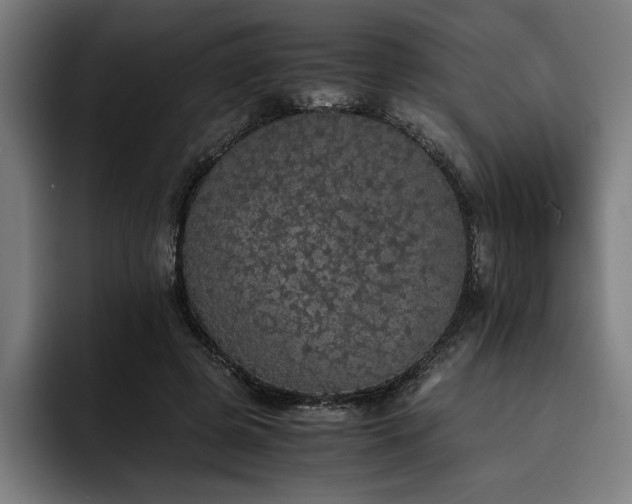 X0000093530545200710121601