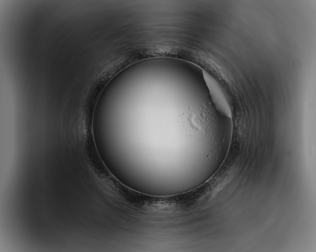 X0000093530546200710121601