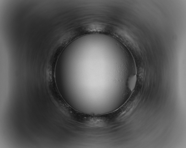 X0000093530547200710121601