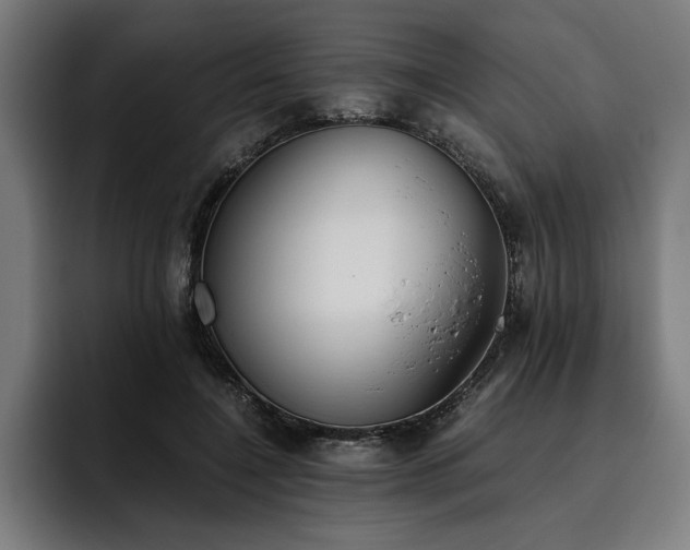 X0000093530548200710121601