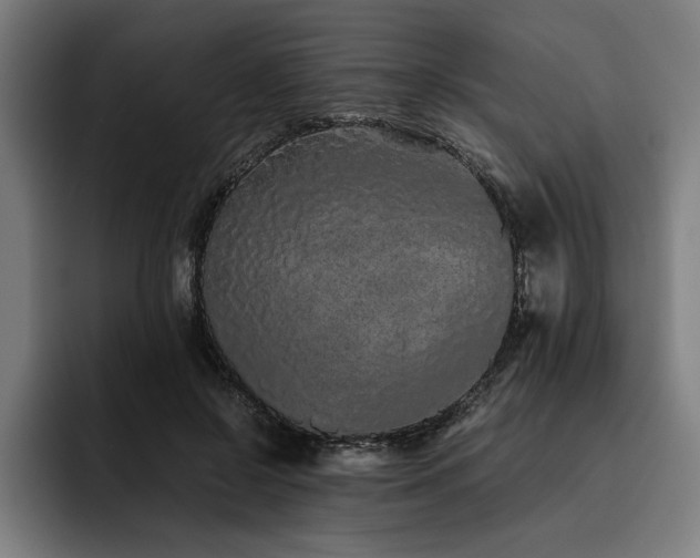 X0000093530550200710121601