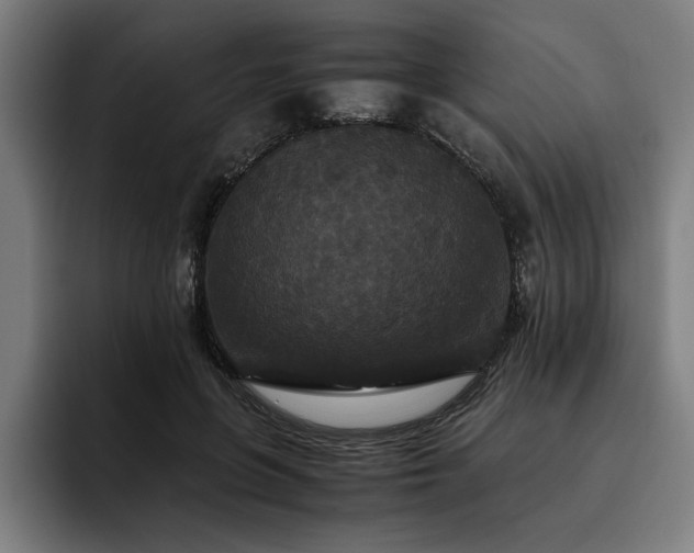 X0000093530551200710121601