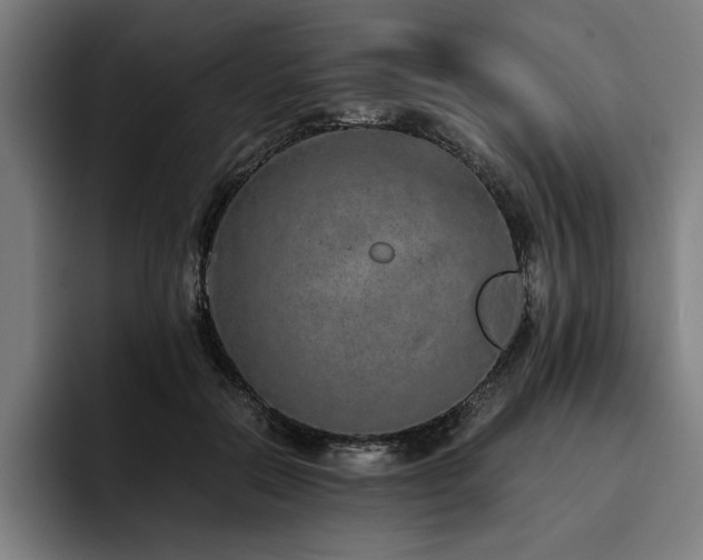 X0000093530554200710121601