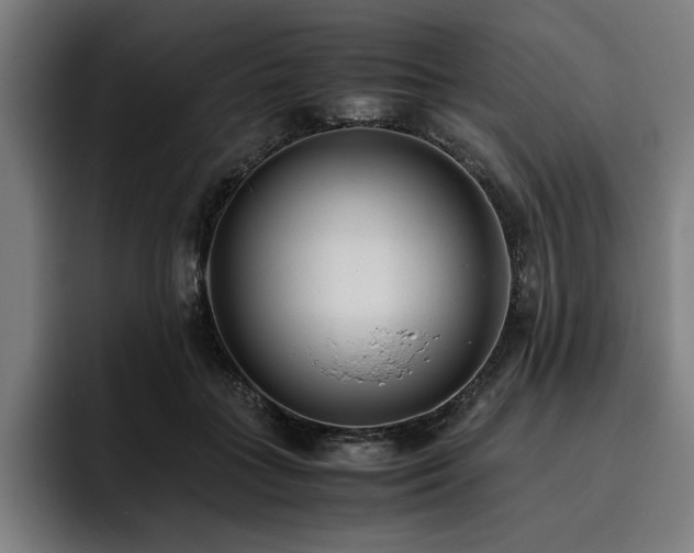 X0000093530555200710121601