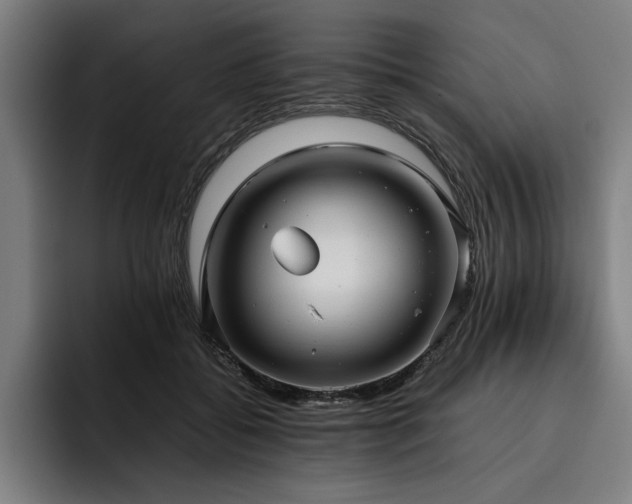 X0000093530556200710121601