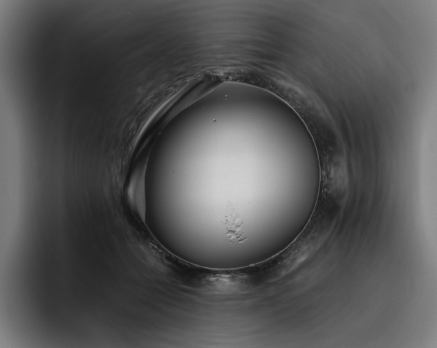 X0000093530558200710121601