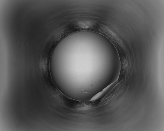 X0000093530559200710121601