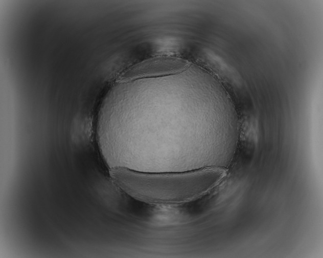 X0000093530560200710121601