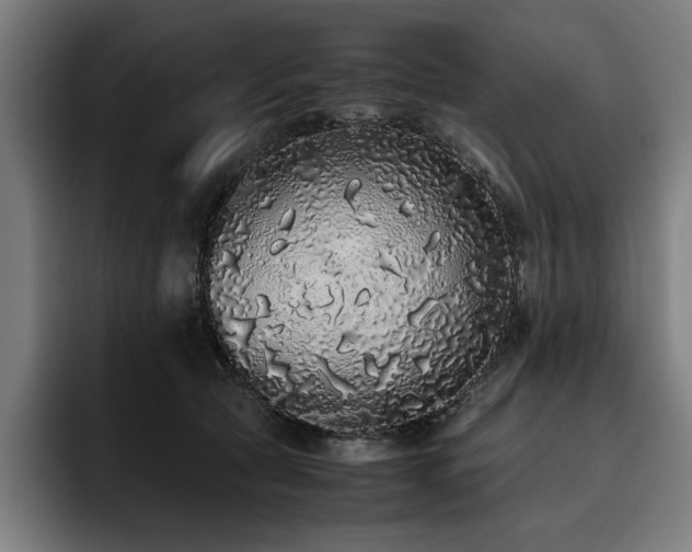 X0000093530561200710121601