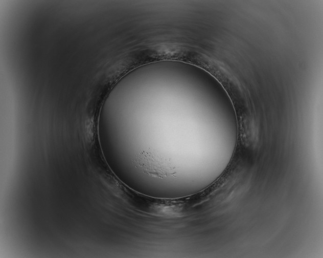 X0000093530563200710121601