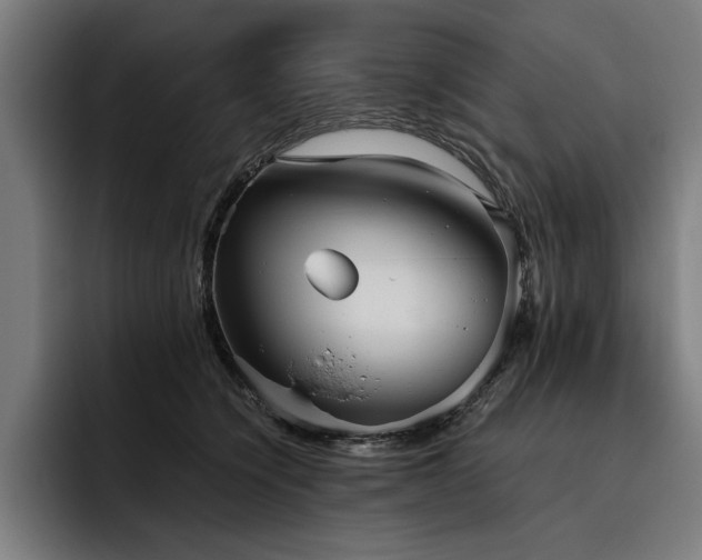 X0000093530564200710121601