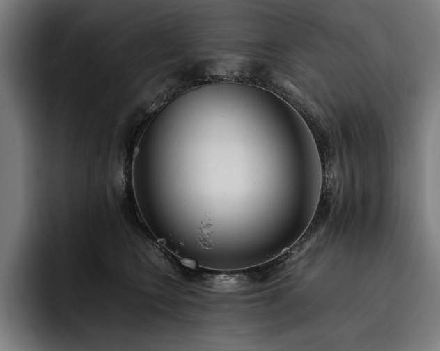 X0000093530566200710121601