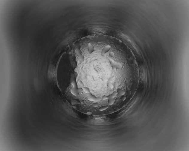 X0000093530573200710121601