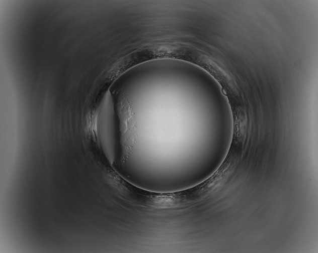 X0000093530574200710121601