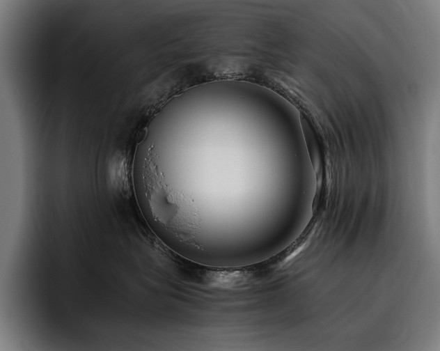 X0000093530575200710121601