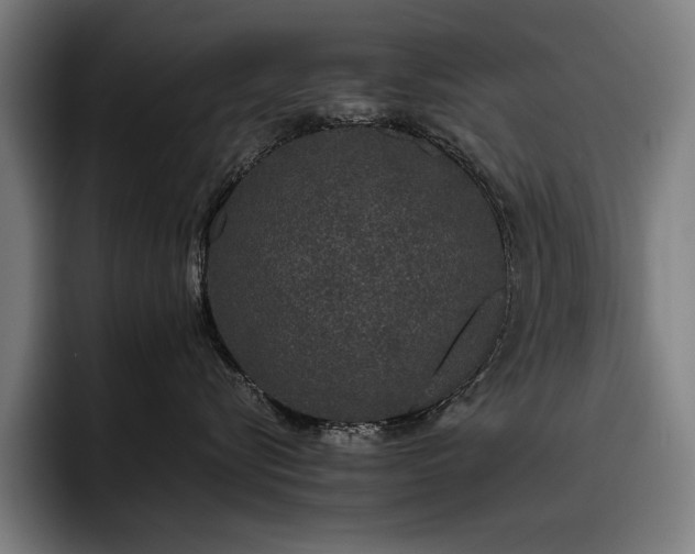 X0000093530576200710121601