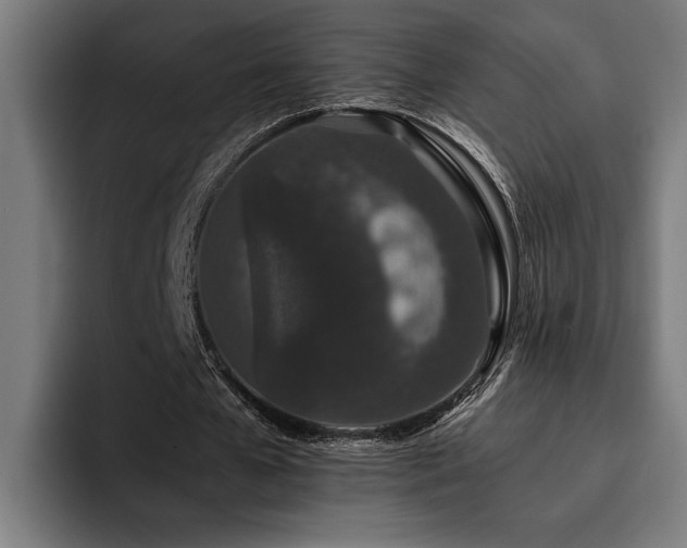 X0000093530577200710121601