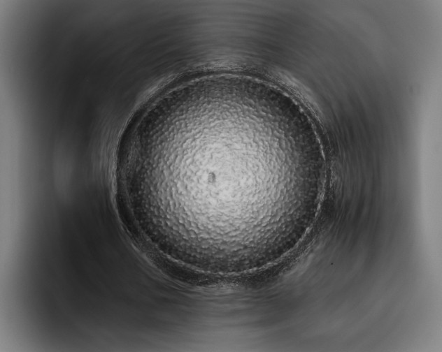 X0000093530578200710121601