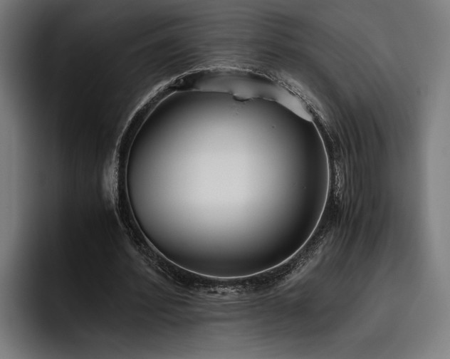 X0000093530580200710121601