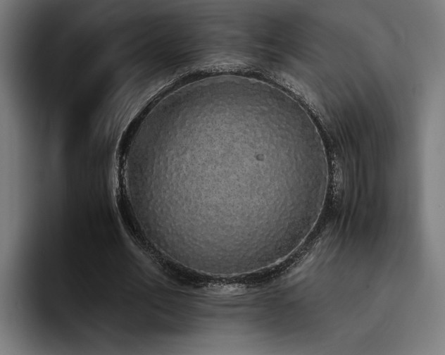 X0000093530582200710121601