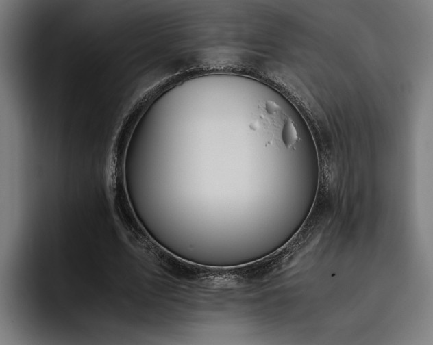 X0000093530583200710121601