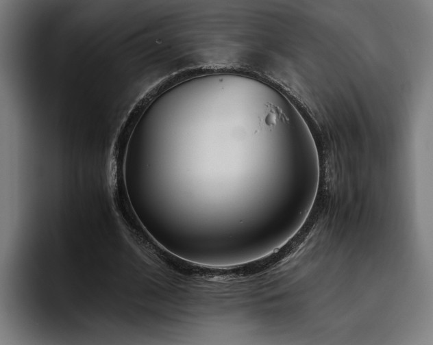 X0000093530584200710121601