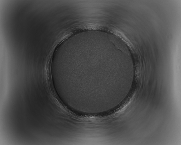 X0000093530585200710121601
