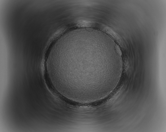 X0000093530586200710121601