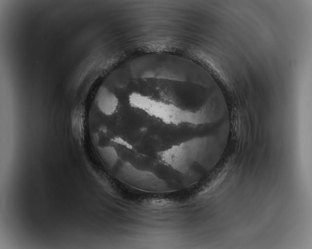 X0000093530590200710121601