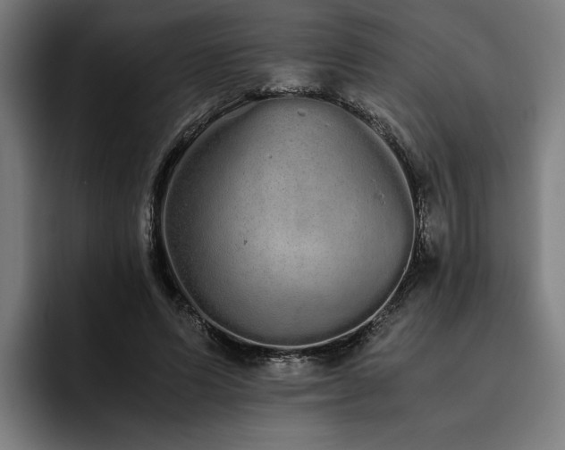 X0000093530591200710121601