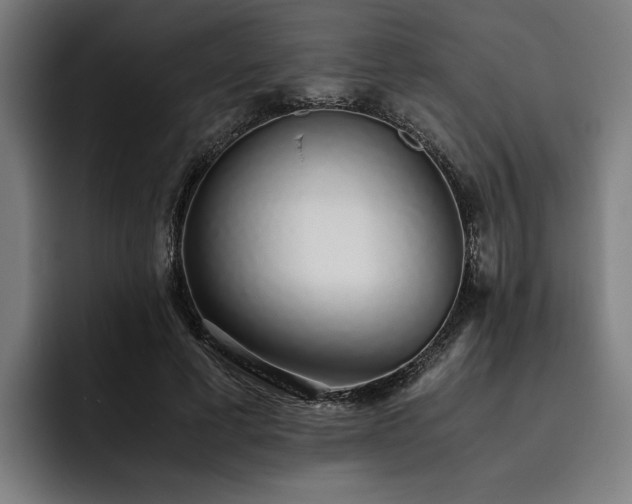 X0000093530593200710121601
