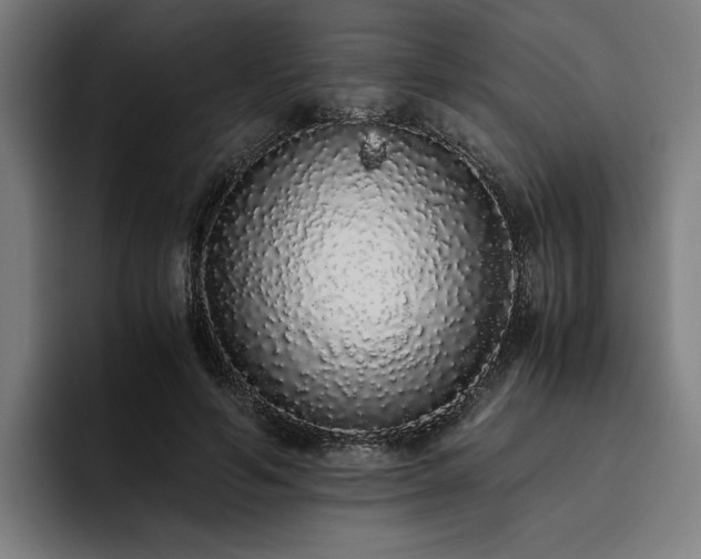 X0000093530594200710121601