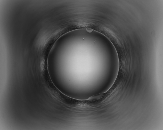 X0000093530596200710121600