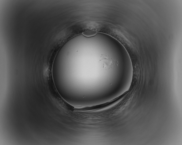X0000093530597200710121600
