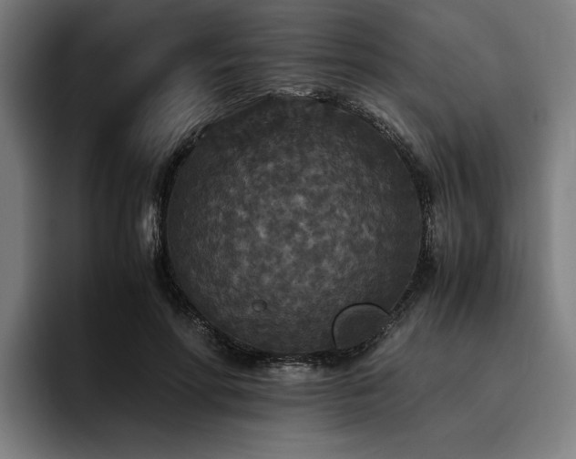 X0000093530598200710121600