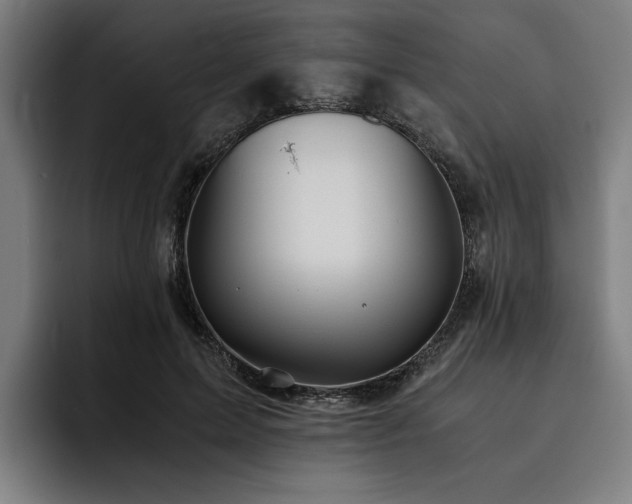 X0000093530599200710121600