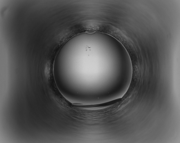 X0000093530600200710121600