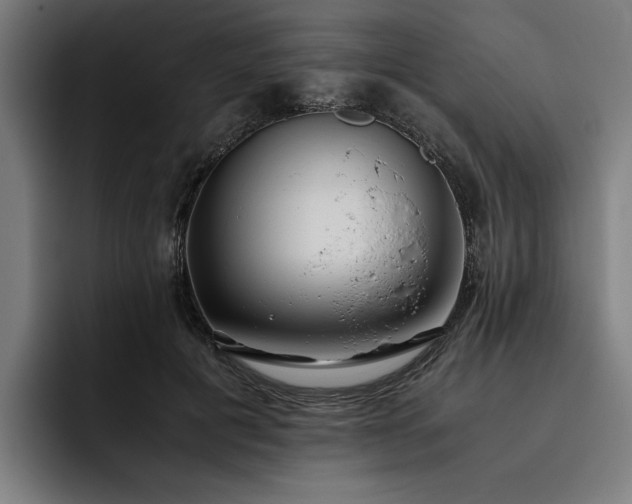 X0000093530601200710121600