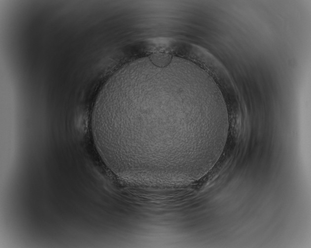 X0000093530602200710121600