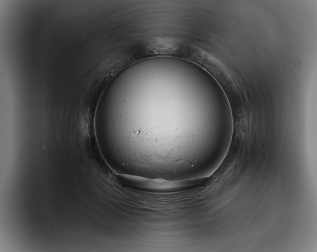 X0000093530604200710121600